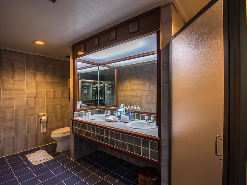 Ambassador Ocean Wing 221085