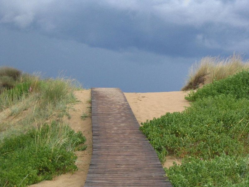 Amfibia Beach 208280