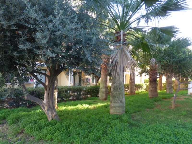 Amore Hotel Apartments 80722