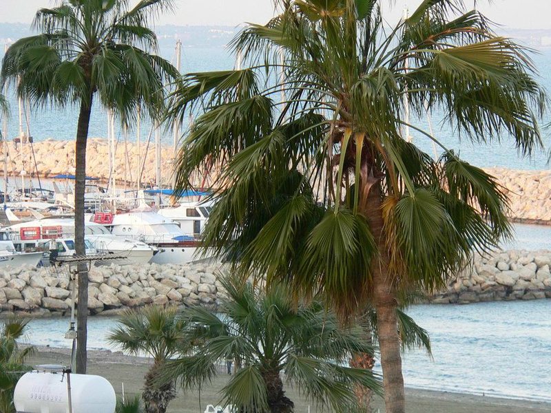 Amorgos Boutique Hotel 87855