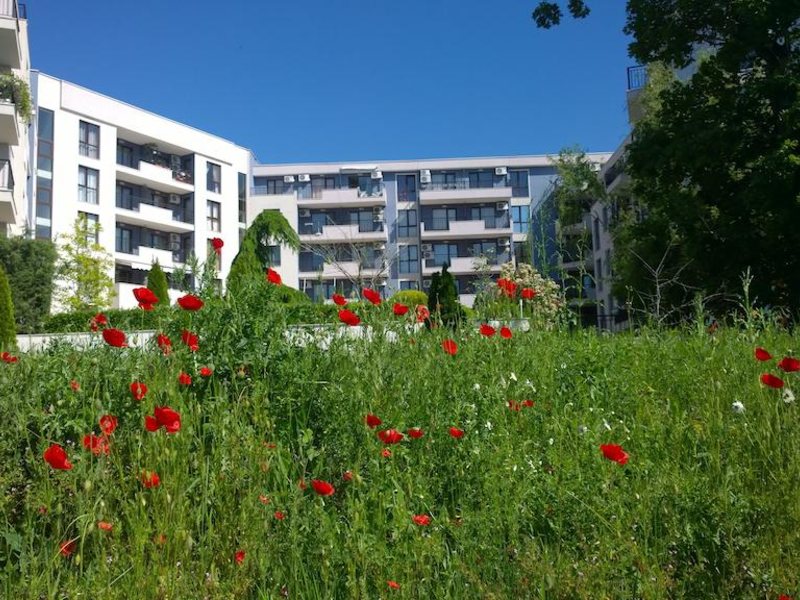Amphora Palace  163514