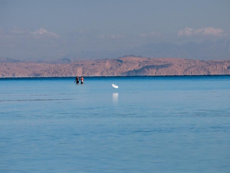 Amwaj Oyoun Hotel & Resort (ex 293249