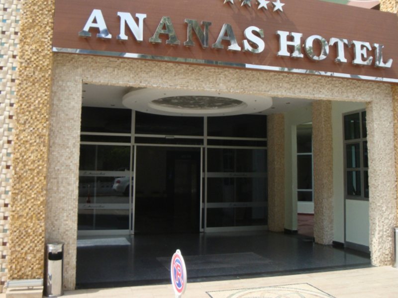 Ananas Hotel  158029