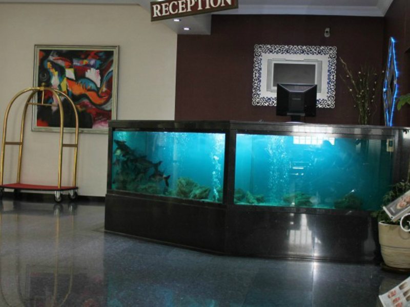 Ananas Hotel  158031