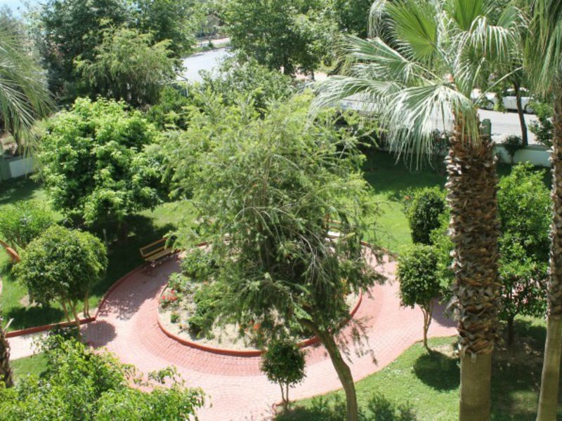 Ananas Hotel  158036