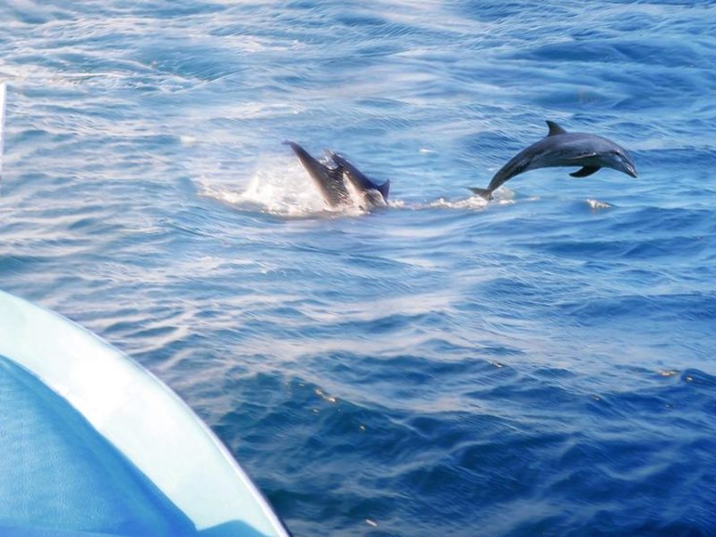 Anantamaa Hotel  109413