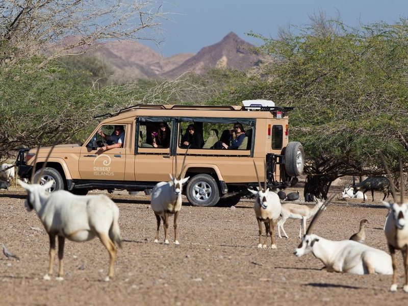 Anantara Al Yamm Villas  203913