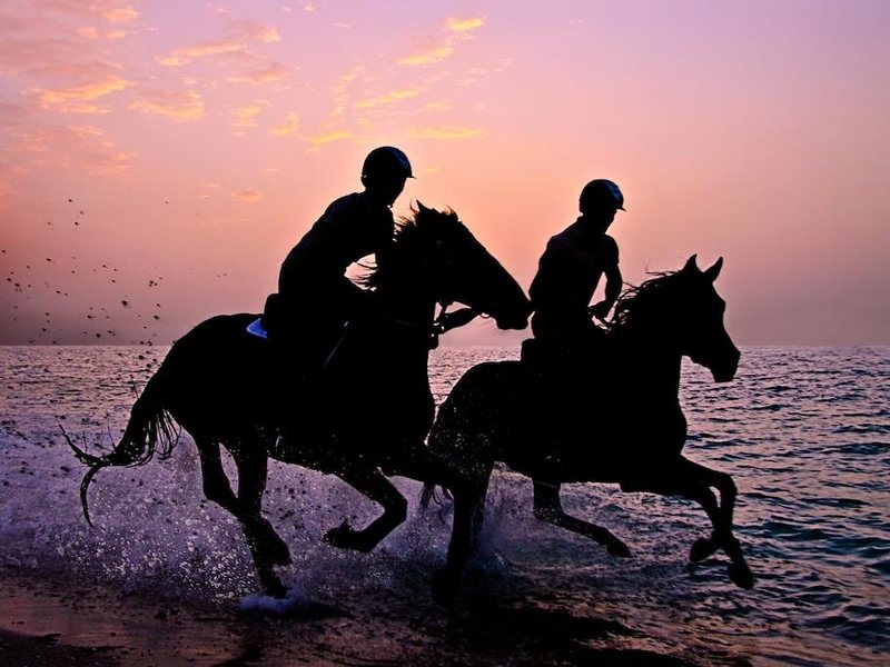 Anantara Sir Bani Yas Island Al Sahel Villa Resort 272578