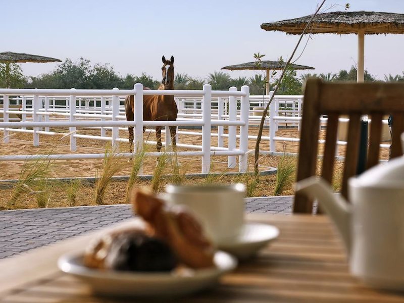 Anantara Sir Bani Yas Island Al Sahel Villa Resort 272583