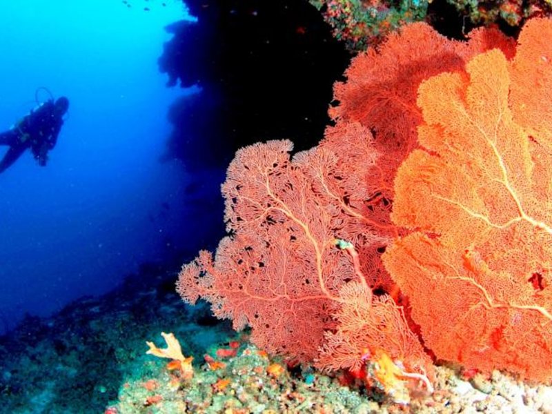 Anantara Veli Resort & Spa 133593