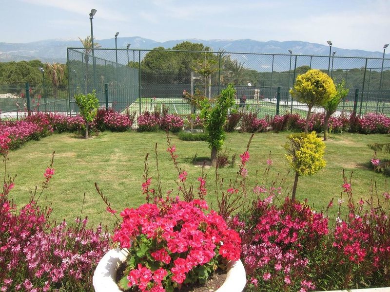 Andriake Beach Club Hotel 275753