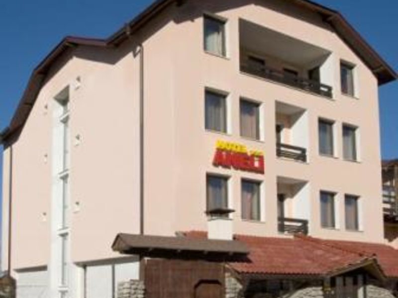 Aneli Hotel 309424