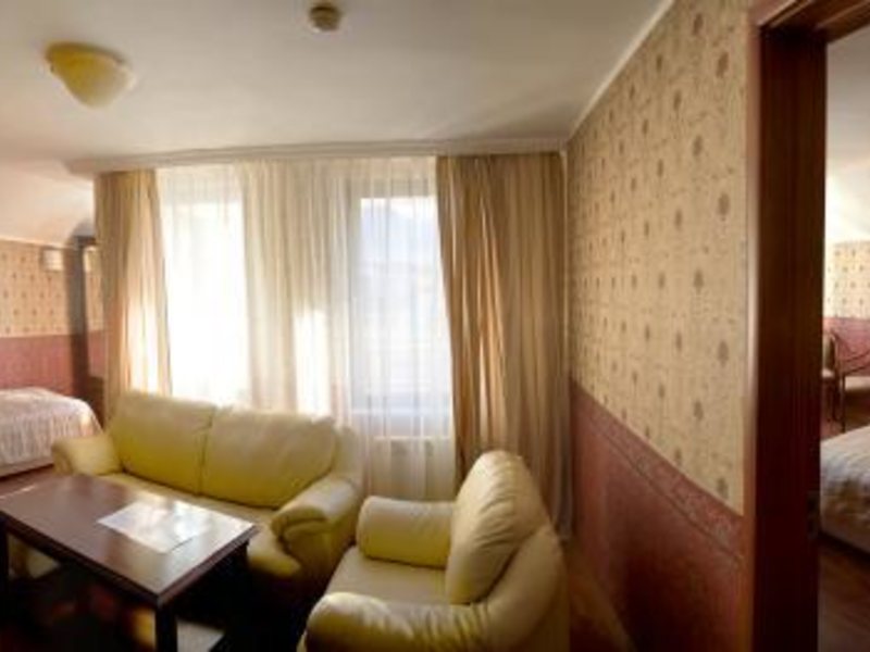 Aneli Hotel 309430