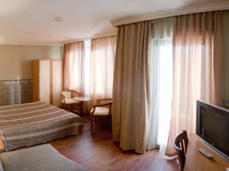 Aneli Hotel 309431