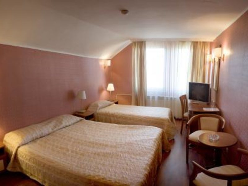 Aneli Hotel 309436