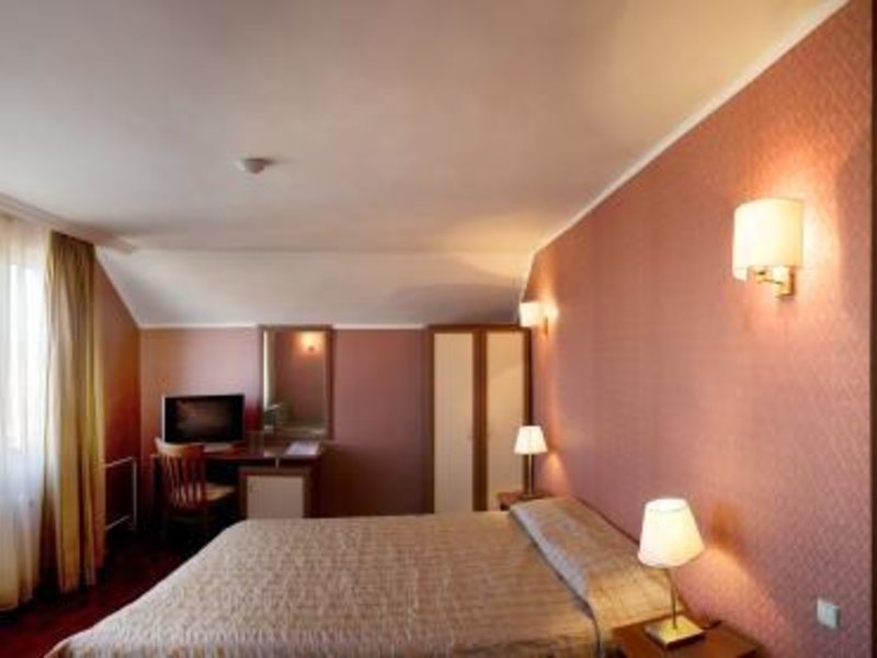 Aneli Hotel 309437