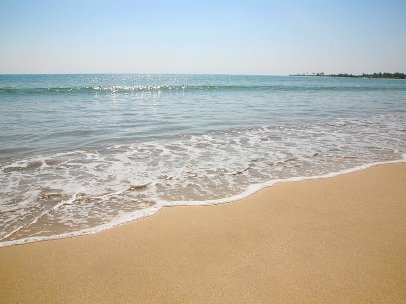 Anilana Passikuda 109495