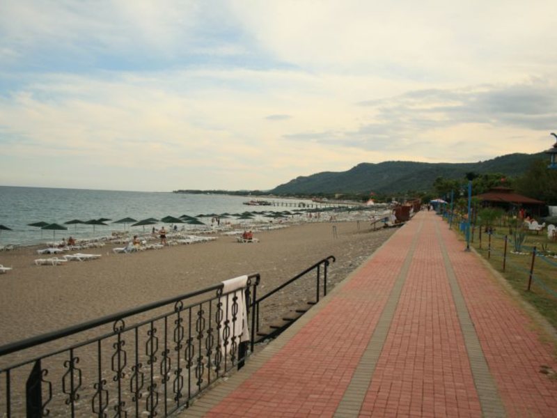 Anita Venus Beach   (ех 42631