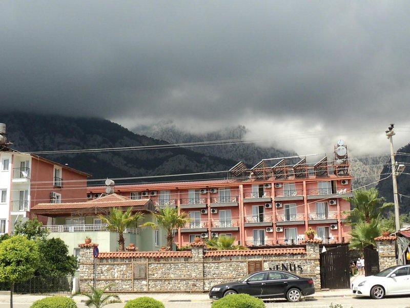 Anita Venus Beach   (ех 55705