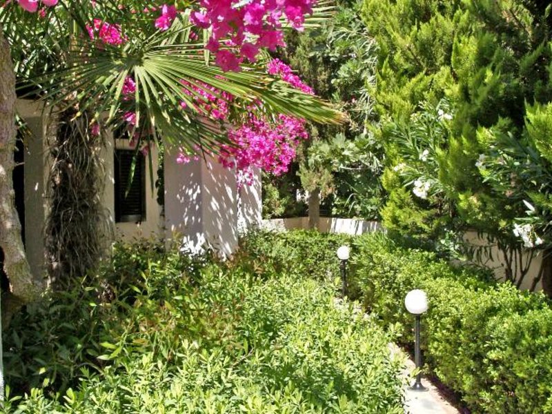 Anna Maria Village  77555