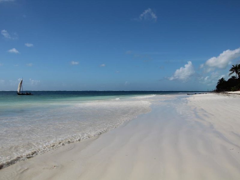 Anna of Zanzibar 228801