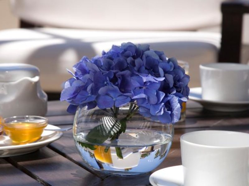 Annabelle Hotel 88158