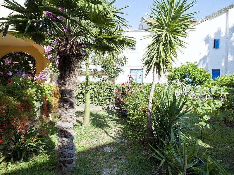 Apartman Angel 307152