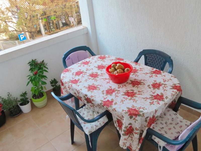 Apartment Zorka 307211