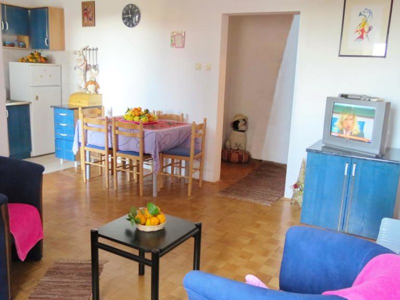 Apartment Zorka 307217