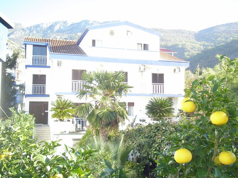 Apartments Becici 307575