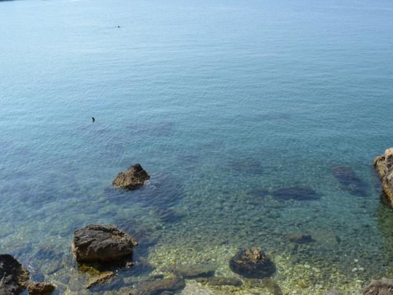 Apartments Eneida 69330