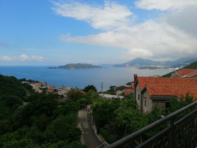 Apartments Mirovic 307268