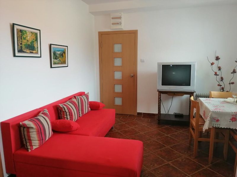 Apartments Mirovic 307269