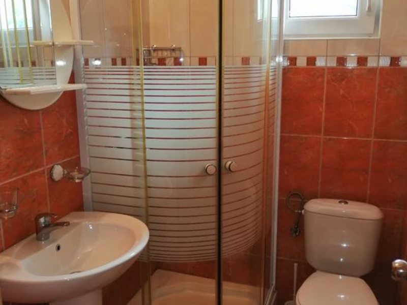 Apartments Mirovic 307273