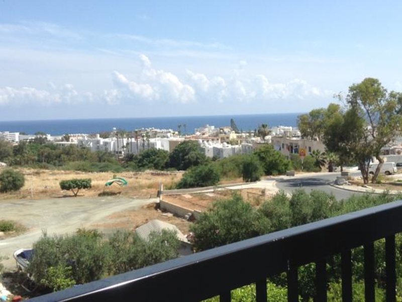 Aphelandra Hotel 99848