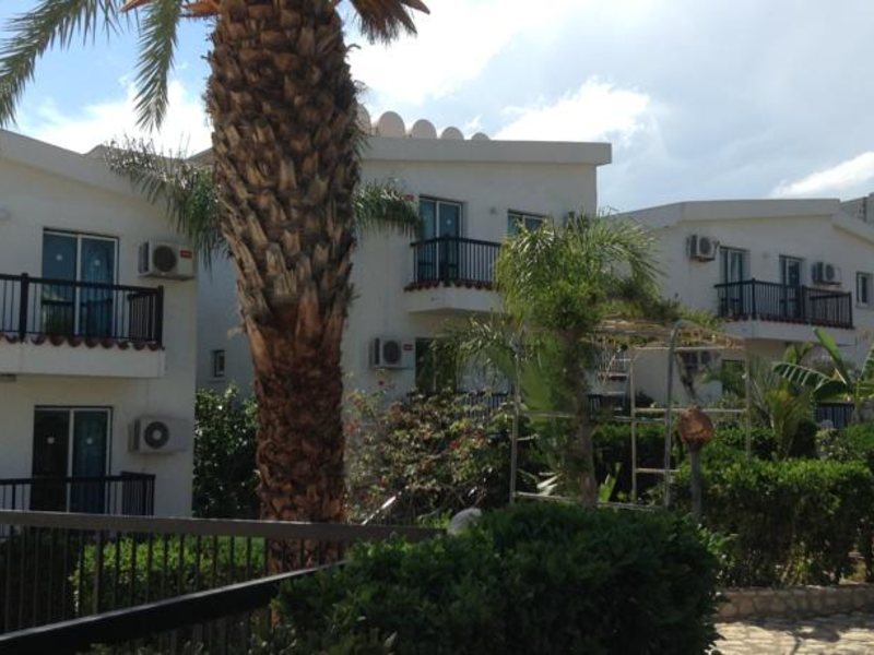 Aphelandra Hotel 99862