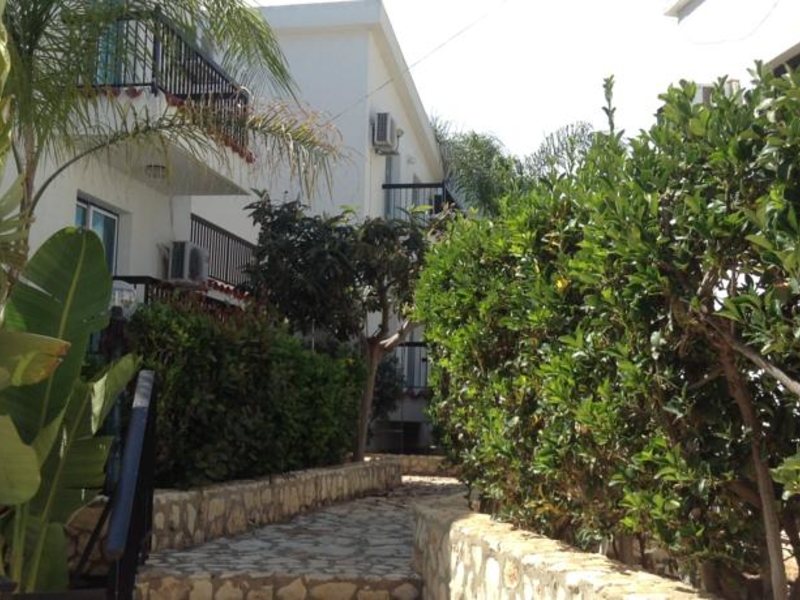 Aphelandra Hotel 99864