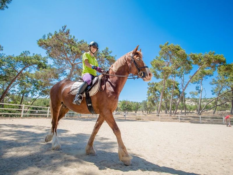 Aphrodite Hills Hotel 204603