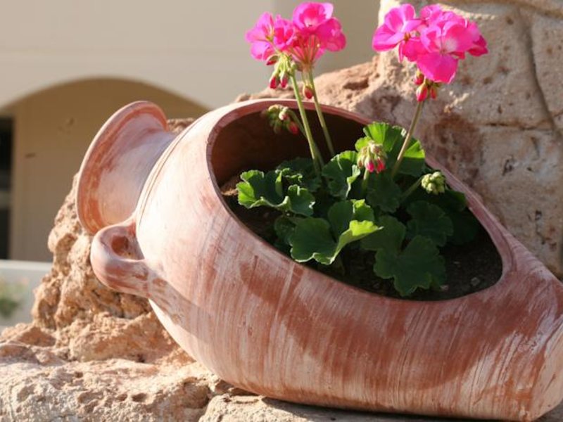 Aphrodite Sands Resort 86006