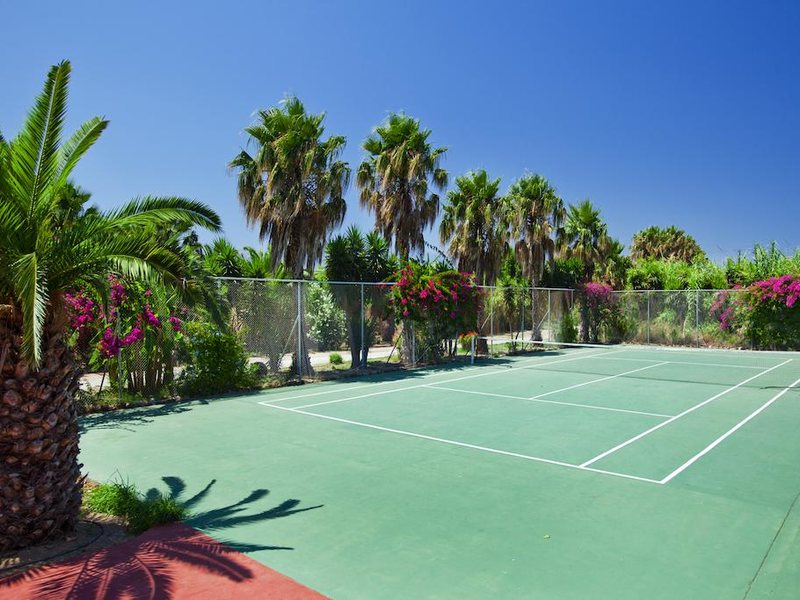 Apollon HoteL 283009