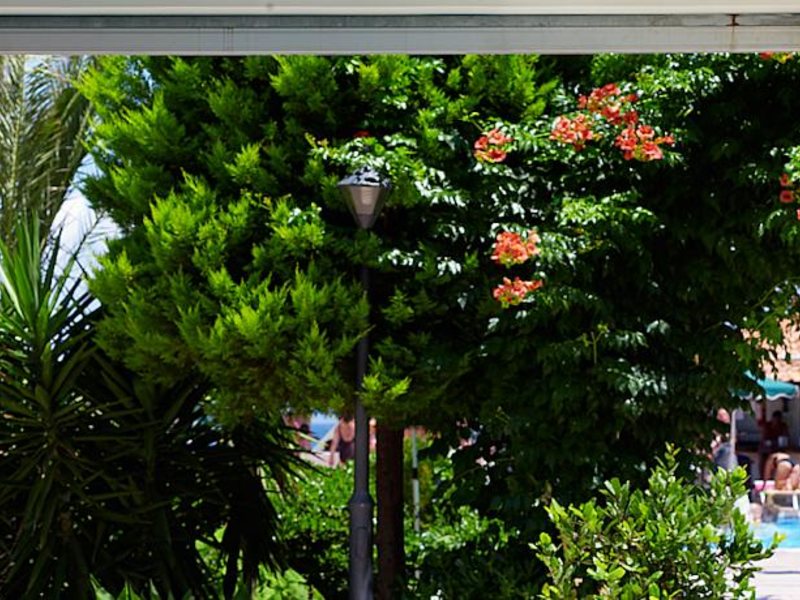 Aqua Beach Blue Bay Club 82479