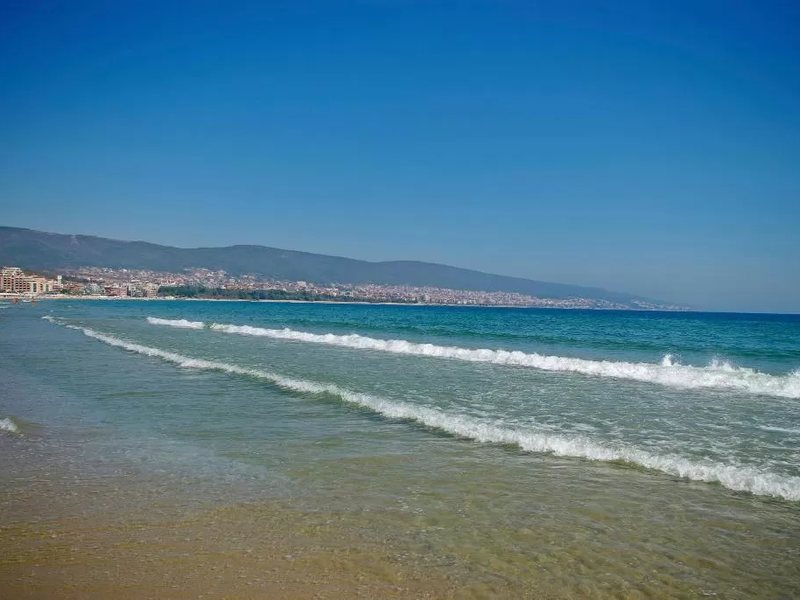 Aqua Blue Apartments 309462