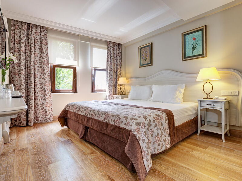 Arena Hotel 240334