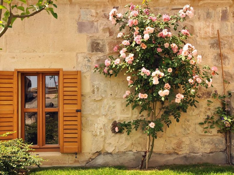 Argos In Cappadocia 303982