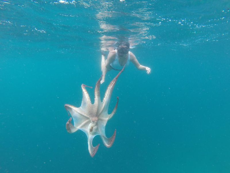 Ari Villa Sea View 324604