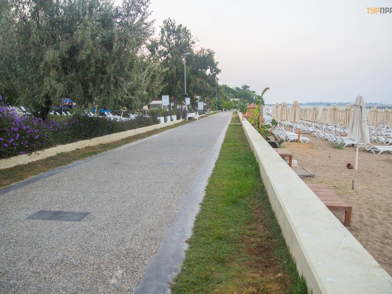 Armas Bella Luna (ех 278489