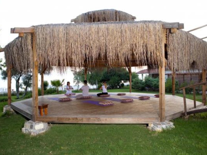 Armas Bella Luna (ех 278503