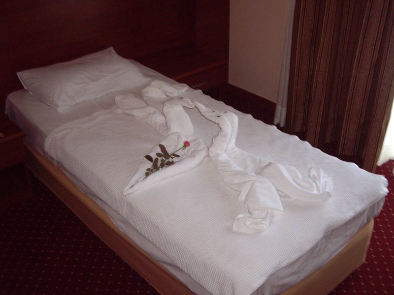 Armir Palace (ех 58804