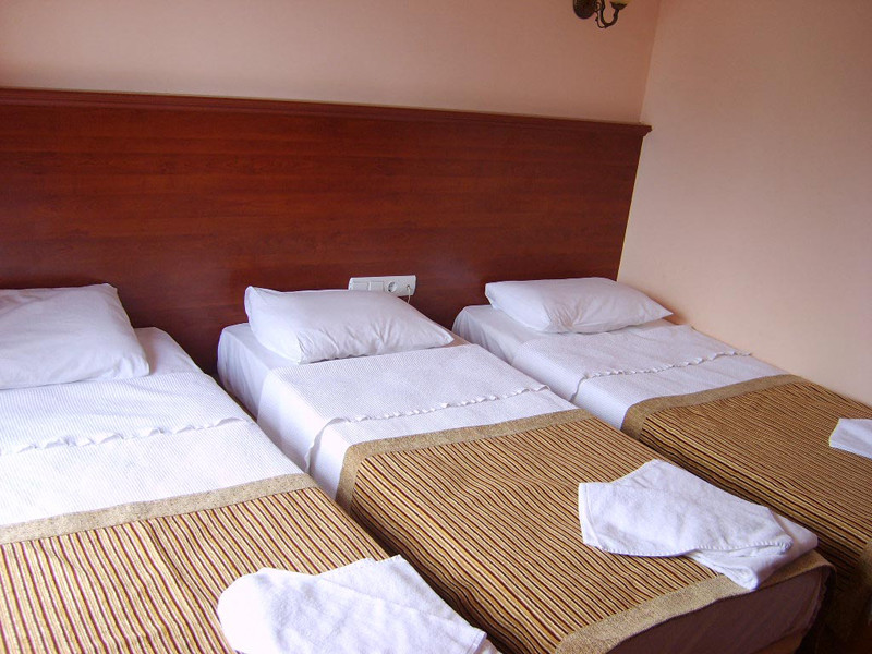 Armir Palace (ех 58805