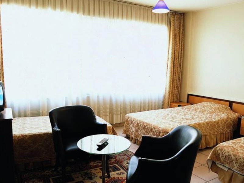 Art Hotel 301373